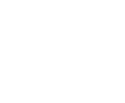 Evolution games at Spinsy Casino
